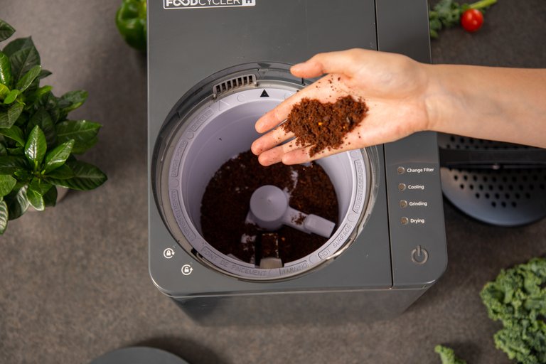 Local Startup Turns Food Waste into Garden Gold